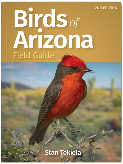 Birds of Arizona Field Guide (Bird Identification Guides)