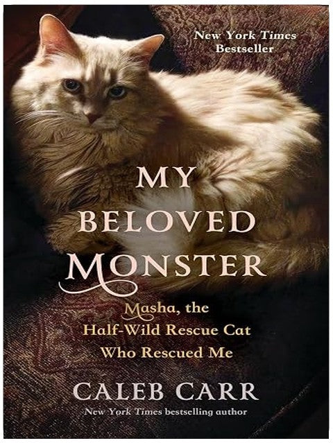 My Beloved Monster: Masha, the Half-wild Rescue Cat Who Rescued Me