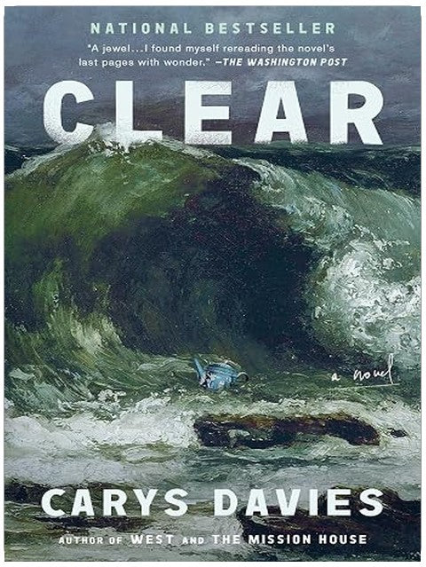 Clear: A Novel