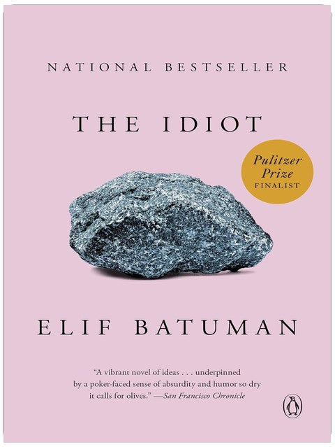 The Idiot: A Novel