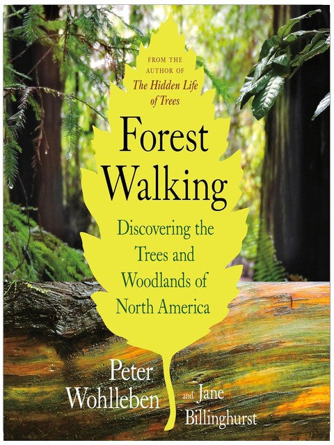 Forest Walking: Discovering the Trees and Woodlands of North America