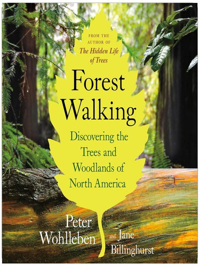 Forest Walking: Discovering the Trees and Woodlands of North America