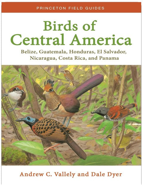 Birds of Central America: Belize, Guatemala, Honduras, El Salvador, Nicaragua, Costa Rica, and Panama (Princeton Field Guides)