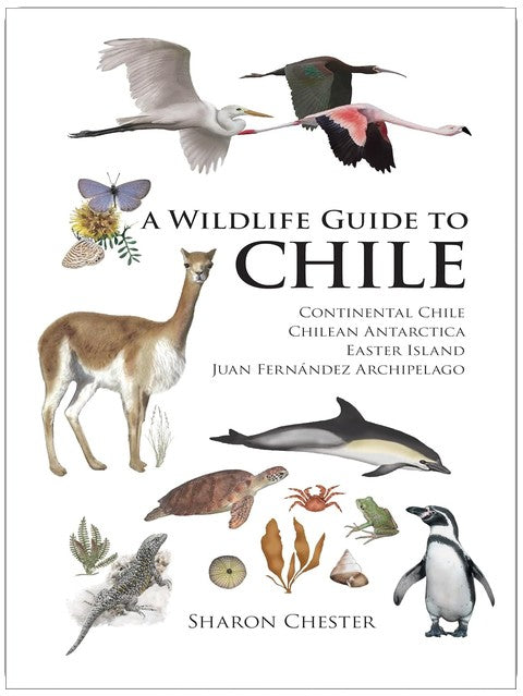 A Wildlife Guide to Chile: Continental Chile, Chilean Antarctica, Easter Island, Juan Fernández Archipelago