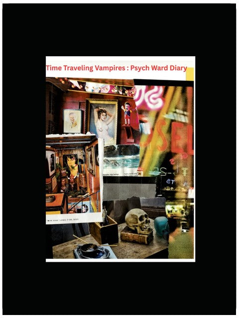 Time Traveling Vampires Psych Ward Diary