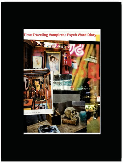 Time Traveling Vampires Psych Ward Diary