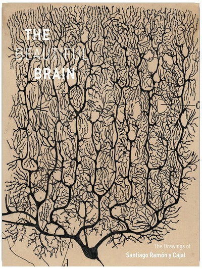 The Beautiful Brain: The Drawings of Santiago Ramon y Cajal