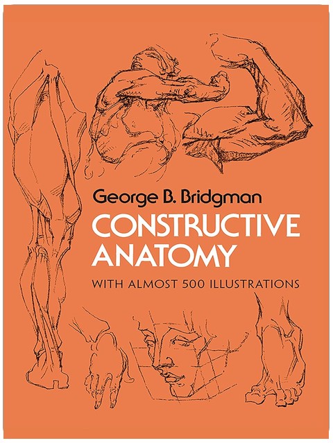 Constructive Anatomy: Includes Nearly 500 Illustrations (Dover Anatomy for Artists)