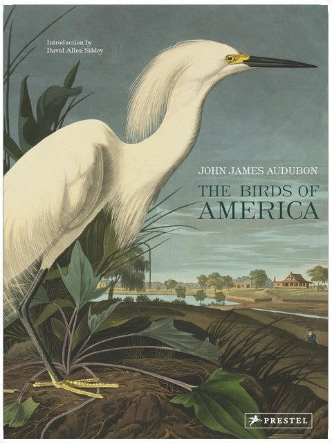 The Birds of America