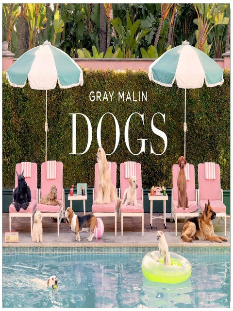 Gray Malin: Dogs: Photographs