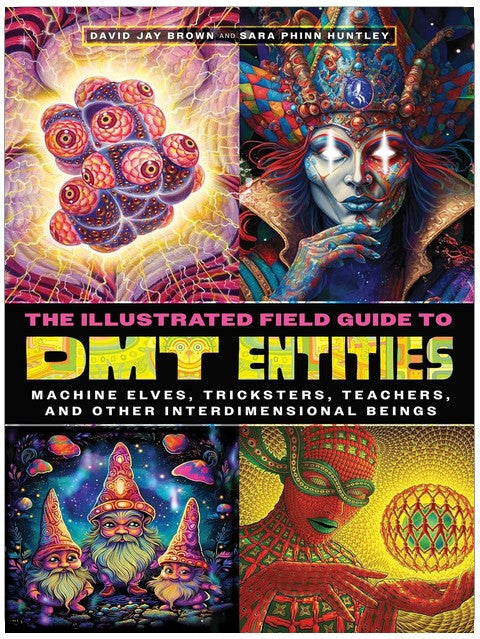 The Illustrated Field Guide to DMT Entities: Machine Elves, Tricksters, Teachers, and Other Interdimensional Beings