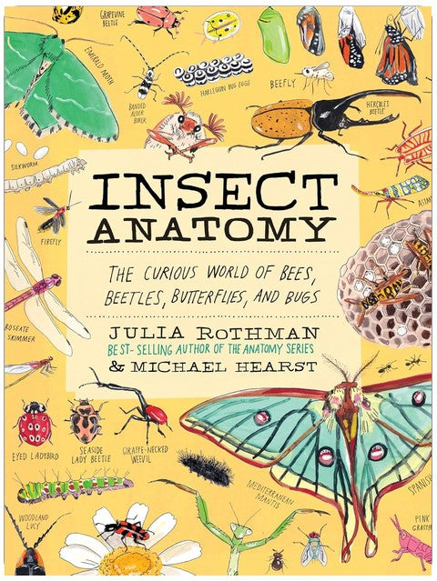 Insect Anatomy: The Curious World of Bees, Beetles, Butterflies, and Bugs