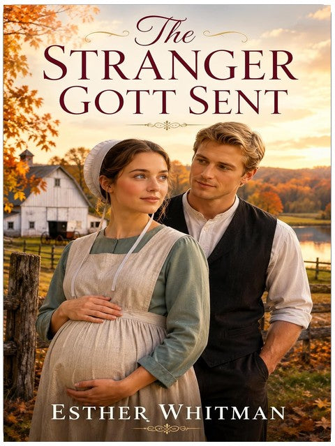 The Stranger Gott Sent: A Heartwarming Amish Romance