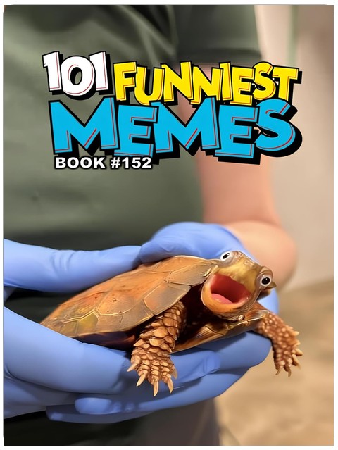 101 FUNNIEST MEMES : BOOK 152