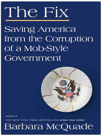 Die Lösung: Amerika vor der Korruption einer mafiösen Regierung retten